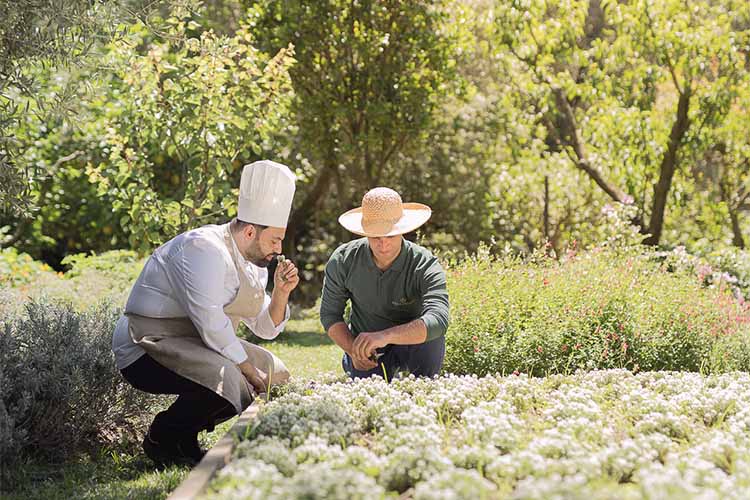 chef-giardino.jpg