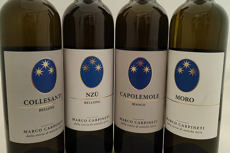 collesanti-nzubellone-capolemole-moro.jpg