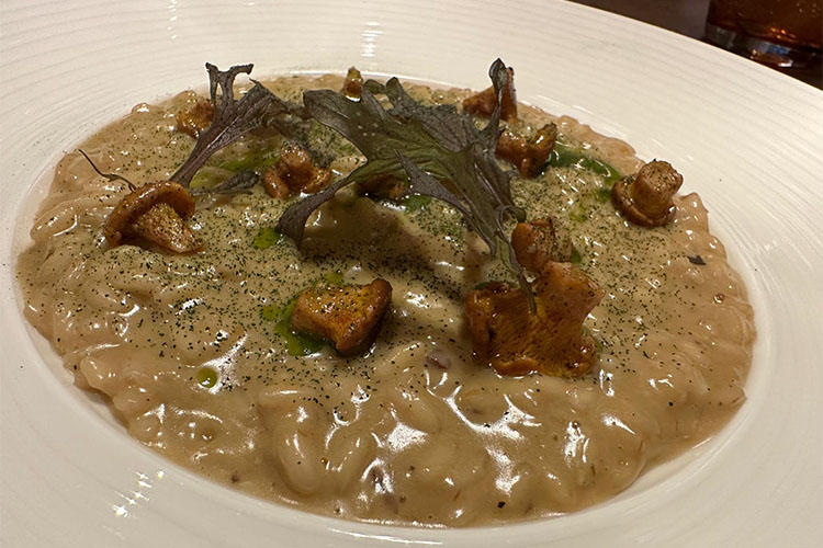 zicoria-risotto.jpg