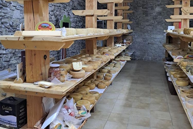 Pecorino di Farindola copia.jpg