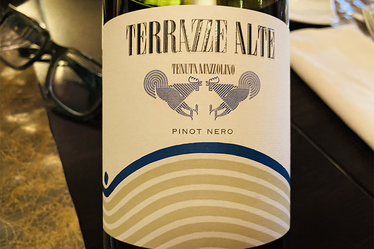 pinot nero terrazze alte.jpg